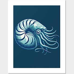 Nautilus art Posters and Art